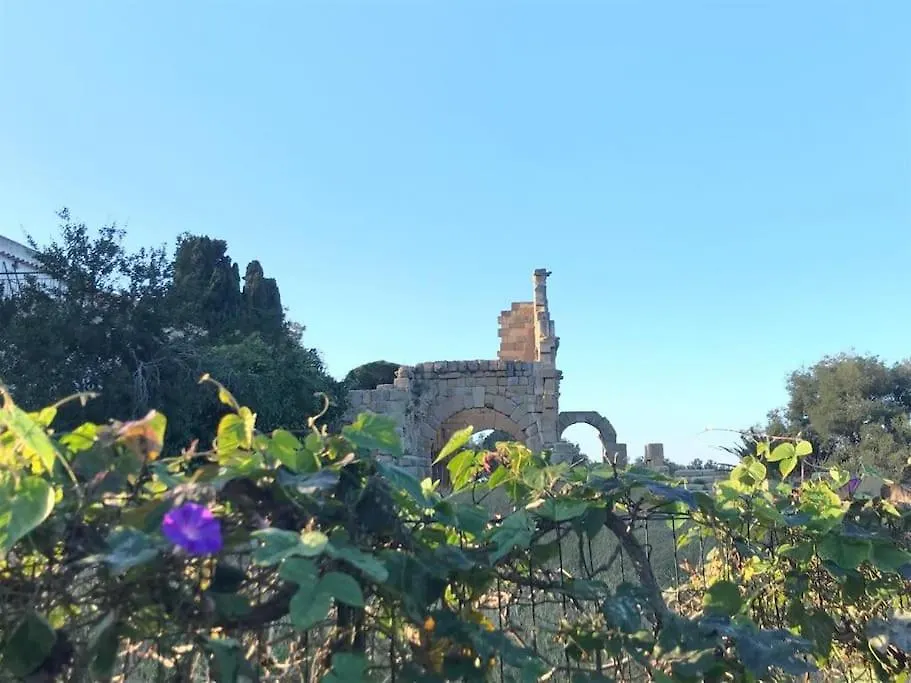 Appartamento 